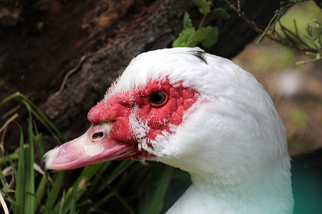 擁有優異的 擁有優異的