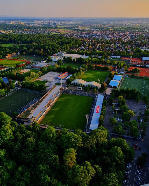 为球迷奉献 为球迷奉献