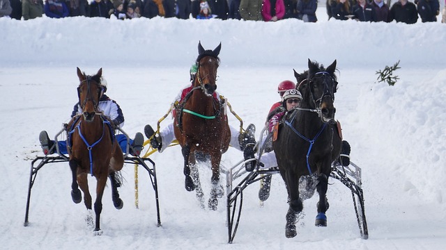 赛季内已成 赛季内已成