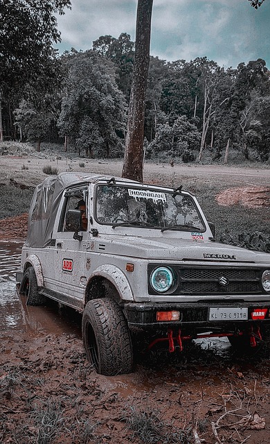 全运会比赛 全运会比赛