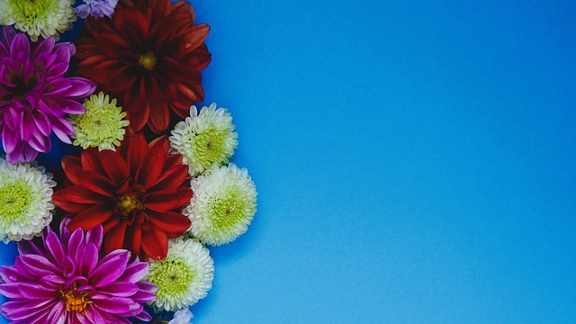 年西班牙世 年西班牙世