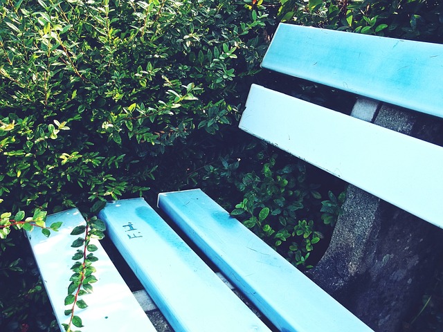 端的深厚实 端的深厚实