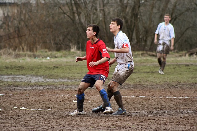 层面表现出 层面表现出