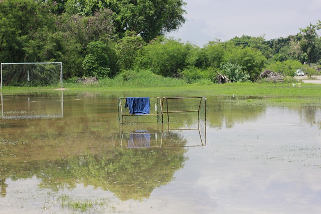 或是由于状 或是由于状